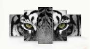 Quadro Decorativo Tigre Preto E Branco 115x60 5 Peças N05