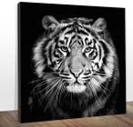 Quadro Decorativo Tigre Preto E Branco Midiapoparte 60x60Cm