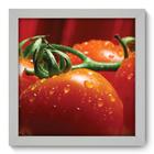 Quadro Decorativo - Tomate - 22cm x 22cm - 032qdcb