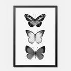 Quadro Decorativo Trio Borboleta Asas Preta 1 Peça Decoração Sala Quarto