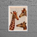 Quadro Decorativo Trio Girafas 33X24Cm - Com Vidro