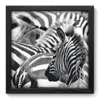 Quadro Decorativo - Zebra - 33cm x 33cm - 004qdsp