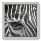 Quadro Decorativo - Zebra - 33cm x 33cm - 181qdsb