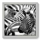 Quadro Decorativo - Zebras - 33cm x 33cm - 001qnsbb