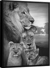 Quadro Família de Leões - Acabamento Moldura Preta