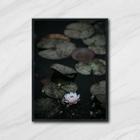 Quadro Flor De Lotus 33X24Cm - Com Vidro Moldura Preta