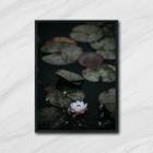 Quadro Flor de Lotus 45x34cm - com vidro