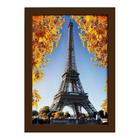 Quadro Foto Paris Torre Eiffel e Flores Moldura Marrom 33x43
