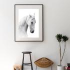 Quadro Fotografia Cavalo Branco - 60x48cm