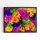 Quadro Fotografia de Flores Multicoloridas 24x18cm - com vidro