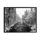 Quadro Fotografia Floresta Com Neve 24X18Cm - Com Vidro