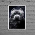 Quadro Fotografia Pitbull Olhos Verdes 24x18cm - com vidro