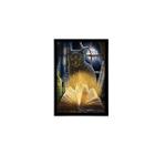 Quadro Gato Bruxo Livro 33X24Cm - Vidro Moldura Preta