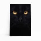 Quadro Gato Preto Animal Pet Minimalista Canvas 60X40Cm