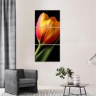 Quadro Grande Tulipa Artístico Flores Conjunto Vertical