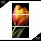 Quadro Grande Tulipa Artístico Flores Conjunto Vertical