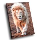 Quadro Leão Branco -- BR ARTES