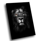 Quadro Lion Blessed Black -- BR ARTES