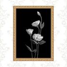 Quadro Moldura Dourada Flores Brancas Fundo Preto 24x18cm