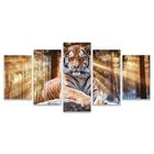 Quadro Mosaico Decorativo Tigre Luz Árvore Raios De Sol Animal 5 Peças