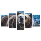 Quadro Mosaico Decorativo Urso Pardo Marrom Animal 5 Peças