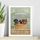 Quadro Para Lavanderia Dachshund 33X24Cm - Com Vidro