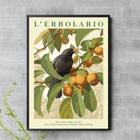 Quadro Passarinho Preto Com Frutos 33X24Cm - Com Vidro