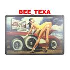 Quadro placa decorativa metal estradas carros beef texas