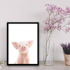 Quadro Porquinho Baby Sorrindo 33x24cm - com vidro
