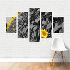 Quadro Preto e Branco Girassóis Plantação Flores Plantas Canvas