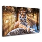 Quadro Tela Canvas Decorativo Tigre Majestoso Horizontal 60x85 Hall Recepção Sala Escritório Parede Casa Grande