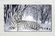 Quadro tigre branco na neve 3 peças - Quadros Decorativos