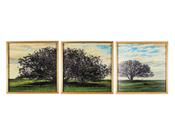 Quadro Trio Campo Jardim Árvore Com Moldura Em Madeira Vidro