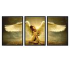 Quadro Vidro Kit 3 Asas de Anjo Mulher Angel Woman Sala Quarto