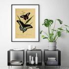 Quadro Vintage Butterflies - 60X48Cm