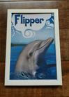 Quadro Vintage Flipper