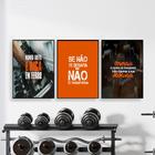 Quadros Academia Musculação Frases Motivação 3 Peças 28x40cm