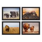 Quadros Animais Safari para Sala Moldura Preta 22x32cm 4un