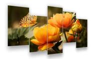 quadros decorativos 4 k borboleta "