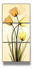 quadros decorativos 4 k Flores Tulipas"