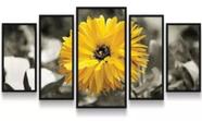 Quadros Decorativos Flor Girassol Amarelo Natureza"