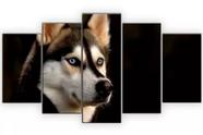 Quadros Decorativos Husky Siberiano "