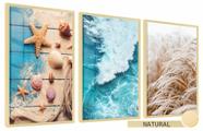 Quadros Decorativos Kit 3 Moldura e Vidro Elementos Naturais