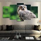 Quadros Decorativos Owl Coruja 63x130mt em Tecido