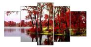 Quadros Decorativos Paisagem Arvores Ipês Vermelhos"