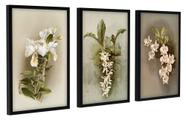 Quadros Decorativos Sala Quarto Floral Orquídeas Com Moldura