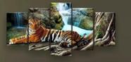 quadros decorativos Tigre Cachoeira "