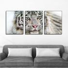 Quadros Decorativos Tigre para Sala Quarto Consultório Kit Trio 3-30x40cm