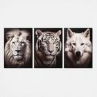 Quadros Leão Tigre Lobo Força Foco Fé Kit 3 Peças 28x40cm