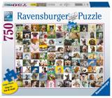 Quebra-cabeça Ravensburger 99 adoráveis cães 750 peças